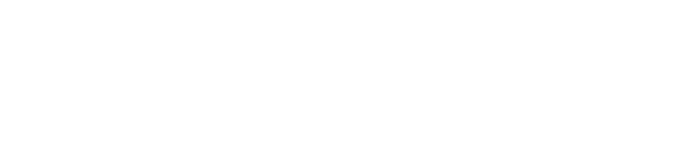 tactica_logo